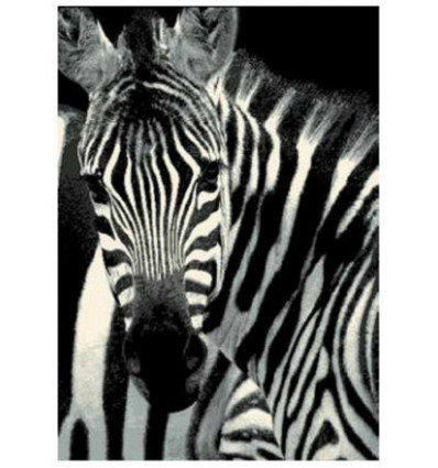 Tapijt FLASH - 120x170CM Zebra