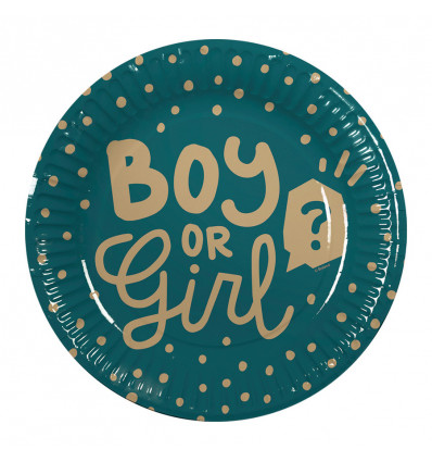 GEBOORTE - Papieren bordjes 'Boy or Girl' 10 st. - 23cm