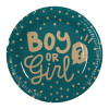 GEBOORTE - Papieren bordjes 'Boy or Girl' 10 st. - 23cm