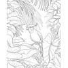 Lovely birds - Kleurboek