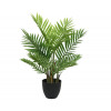 Palmboom in pot - dia 61cm H 73cm