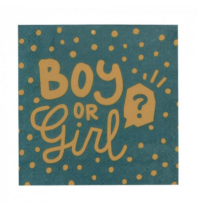 Boy or girl - 12 servetten 33x33cm