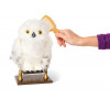HARRY POTTER - Uil Hedwig interactief 37161829KID