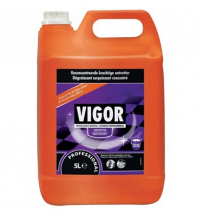 VIGOR Industriele reiniger 5L - original