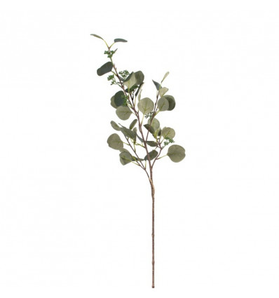Tak eucalyptus 85cm - d. groen