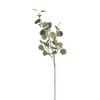 Tak eucalyptus 85cm - d. groen