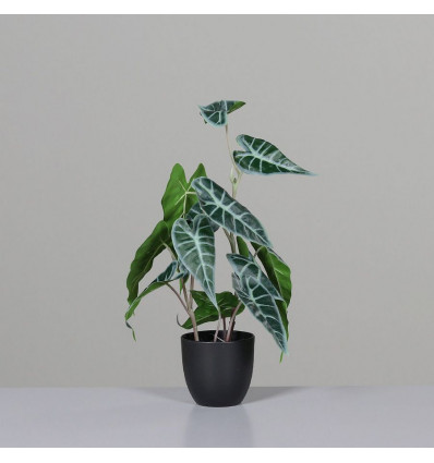 Alocasia kunstplant 45cm - pot zwart