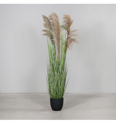 Gras met pluimen 150cm - pot zwart