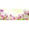 Wanddeco Spring Flowers - 30x80cm - glas