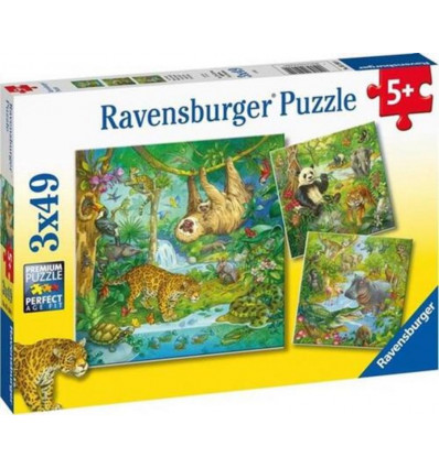 RAVENSBURGER Puzzel 3D - In het oerwoud 3x49st.