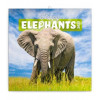 KALENDER 2023 - 30x30cm - Happy Elephant