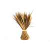 Bundel broom grass 45cm - naturel