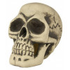 Halloween deco - skull 29cm