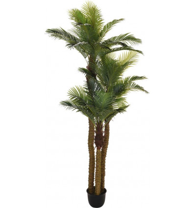 Palmboom 300cm - pot zwart