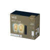 PHILIPS Wi-Fi BLE 50W ST64 Amb TW 2PK + remote 8719514550155