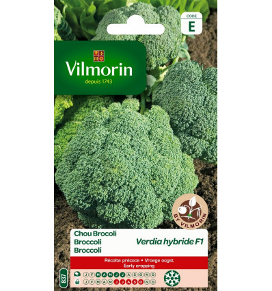 VILMORIN broccoli verdia HF1 SE