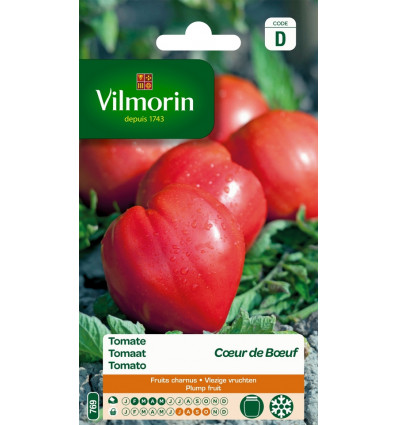VILMORIN tomaat coeur de boeuf SD