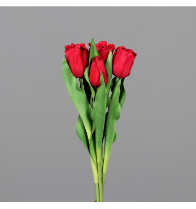 Tulpen boeket 46cm - rood