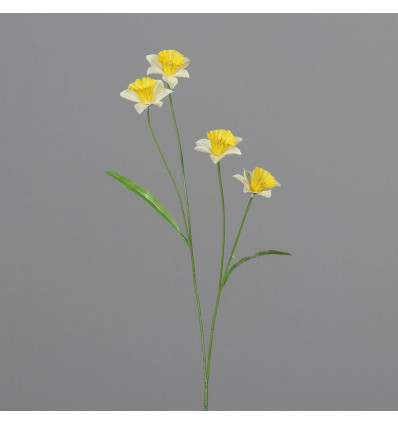 Narcis m/4 bloemen 60cm - geel/ wit