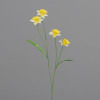 Narcis m/4 bloemen 60cm - geel/ wit