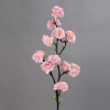 Kersebloesemtak 90cm - roze
