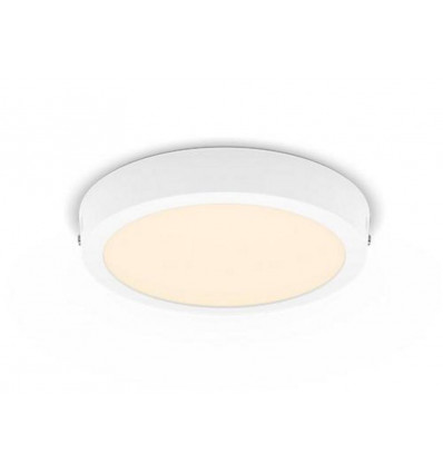 PHILIPS Plafondlamp MAGNEOS - RD 210mm 12W - wit