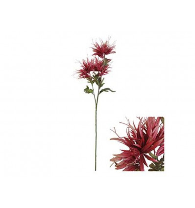 Epiphyllum tak 84cm - rood