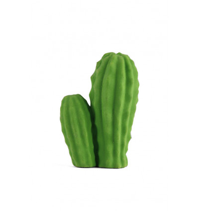 Cactus - Gom