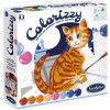 Colorizzy schilderen - Katten