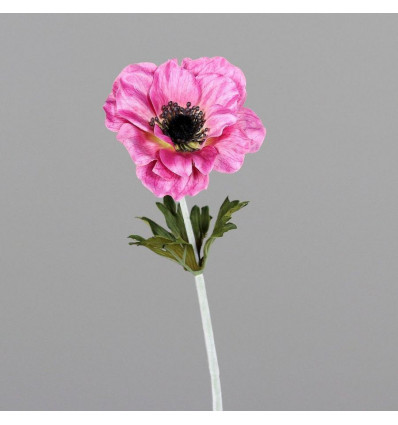 Anemone 36cm - rosee