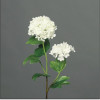 Sneeuwbal tak 48cm 2 bloemen - cream