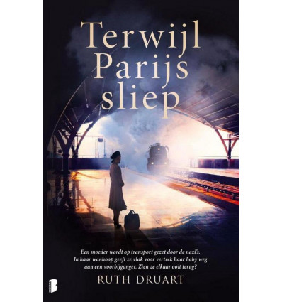 Terwijl Parijs sliep - Ruth Druart