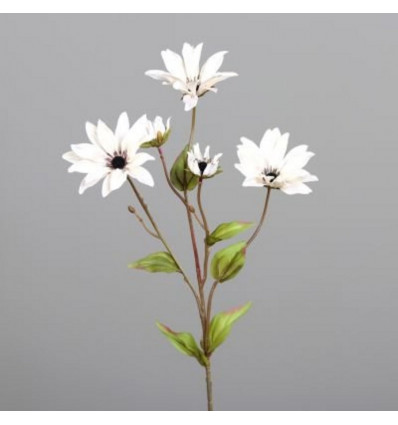 Enchinacea 74cm 5 bloemen - cream
