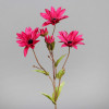 Enchinacea 74cm 5 bloemen - fuchsia