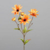 Echinacea 74cm 5 bloemen - oranje
