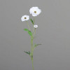 Anemone 3 bloemen 60cm - cream