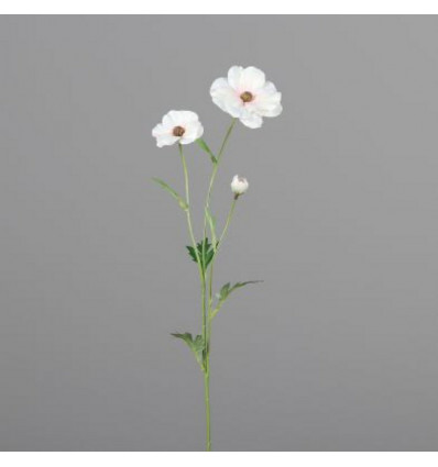 Anemone 3 bloemen 60cm - dark cream