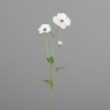 Anemone 3 bloemen 60cm - dark cream