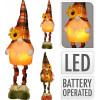Deco gnome met LED - 61cm - ass. (prijs per stuk)