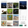 Kalender 2024 - 30x30cm - vogels