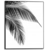 Slim frame zwart - 40x50cm - palm leaf