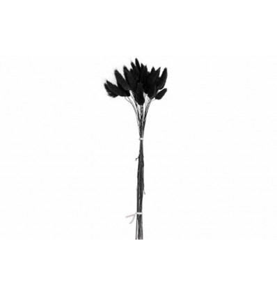 Boeket cattails - 10x10x60cm - zwart