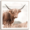 Slim frame wood - 50x50 - nature cow