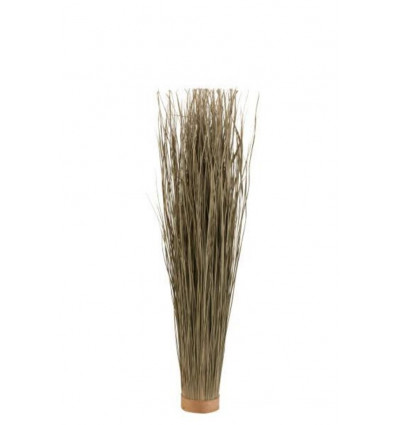 J-LINE grassen gedroogd - S 12x95cm - groen