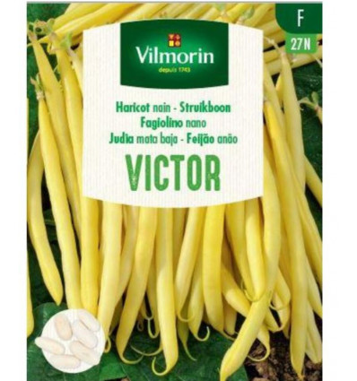 VILMORIN Struikboon victor - 100gr F