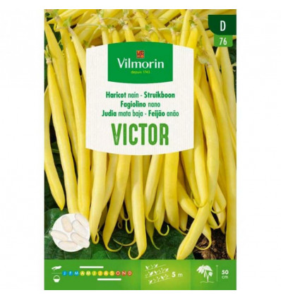 VILMORIN Boterboon Victor 35g - SD