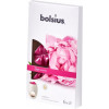BOLSIUS waxmelts 6st.- peony true scents TU LU