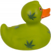 Squeek eend 10cm - cannabis ( prijs per stuk )