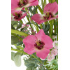 JLINE Boeket bloemen mix - 30x85cm- roze