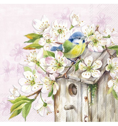 IHR Servetten - 33x33cm - cherry blossom birdhouse 10338
